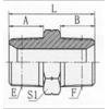 1T-02SP,1T-04SP,1T-06SP,1T-08SP,1T-12SP,1T-16SP,1T-20SP,1T-24SP,1T-32SP,过渡接头