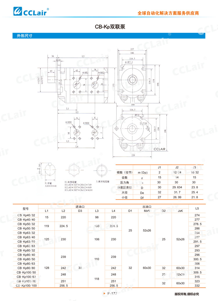 CB-Kp系列齿轮泵-4