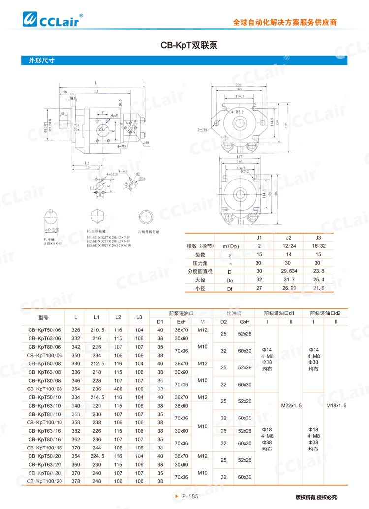 CB-KpT双联泵-2